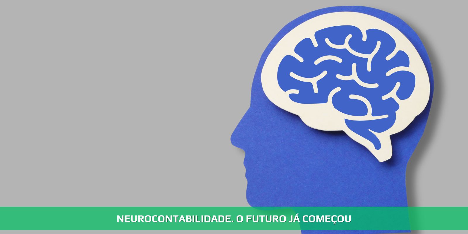 NEUROCONTABILIDADE. O FUTURO JÁ CHEGOU